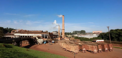 Usinas de cana de SP poderão usar resíduos até para gerar energia