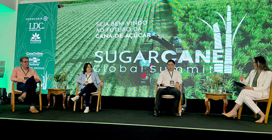 Foto: Andréia Vital