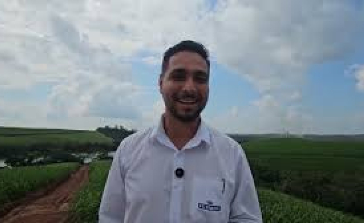 Os tratos culturais dos canaviais na Usina Petribu