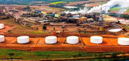 Nardini divulga relatório de sustentabilidade da safra 2024/25