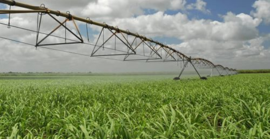 Foto: do site da Usina Caeté 