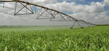 Na Usina Caeté, a irrigação não é perfumaria, é uma necessidade de sobrevivência