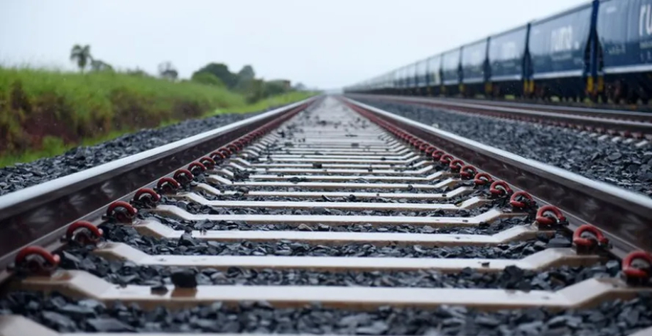 Ferrovia deverá demandar ao menos R$ 20 bilhões de investimentos — Foto: Ricardo Botelho/Minfra