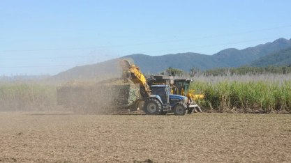 Brasil precisará dobrar produtividade da cana para atender nova era do etanol