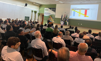 IAC lançará novas variedades de cana na VII Reunião do Grupo Fitotécnico