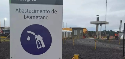 MS reforça compromisso do Brasil com transição energética na COP 30