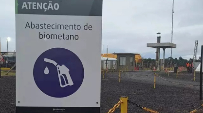 MS reforça compromisso do Brasil com transição energética na COP 30