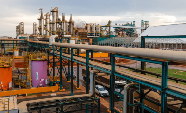 CerradinhoBio registra alta de 56,2% no EBIT no primeiro semestre da Safra 2025/26