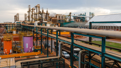 CerradinhoBio registra alta de 56,2% no EBIT no primeiro semestre da Safra 2025/26