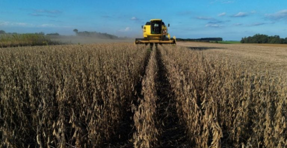 Compras simbólicas de soja indicam um gesto de aproximação entre China e Estados Unidos nas relações comerciais. REUTERS/Diego Vara