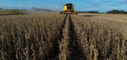 Chinesa Cofco fecha compras bilionárias de soja do Brasil e óleo de palma