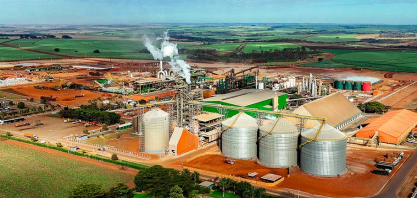 Fundação Cargill anuncia os 13 projetos selecionados pela Chamada Semeia 2025