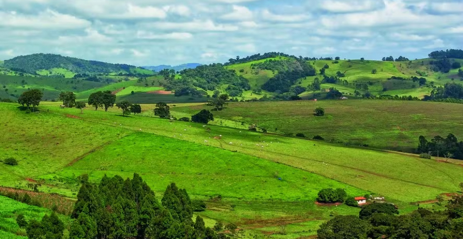 A coalização foi uma proposta do Brasil com o objetivo de criar padrões mínimos para o mercado regulado de carbono — Foto: Getty Images