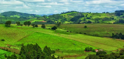 Coalizão para mercado de carbono atrai potências globais