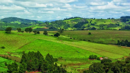 Coalizão para mercado de carbono atrai potências globais