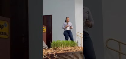 Grupo Pedra amplia eficiência no controle do Sphenophorus com manejo integrado