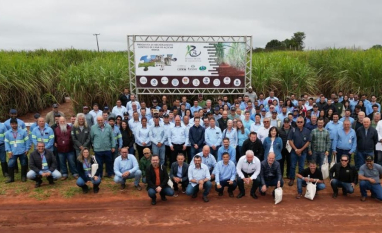 UFPR apresenta novas variedades de cana-de-açúcar em Programa de Melhoramento Genético 