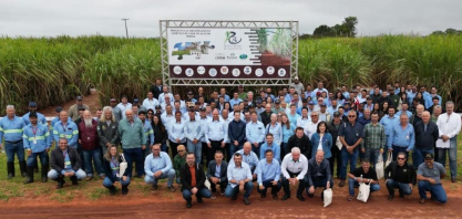 UFPR apresenta novas variedades de cana-de-açúcar em Programa de Melhoramento Genético 