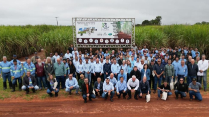 UFPR apresenta novas variedades de cana-de-açúcar em Programa de Melhoramento Genético 