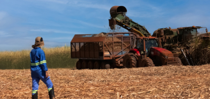Inscrições para programa de estágio de verão e aceleração de carreira da Tereos entram na reta final