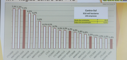 CTC9006 deve ser a variedade mais plantada do Centro-Sul
