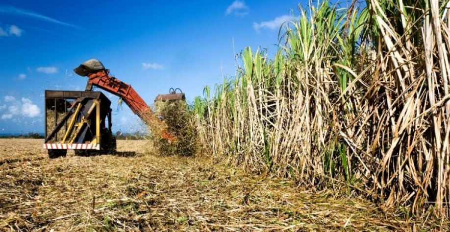 A empresa disse que a reorganização não resultará em alteração do patrimônio líquido ou aumento do seu capital social. Santosha_Getty Images