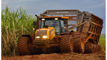 Raízen prorroga inscrições para programa de estágio Acelerar até 9/11