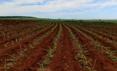 CTC tem lucro recorde no 2º trimestre com resultado de pesquisas
