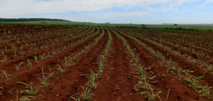 CTC tem lucro recorde no 2º trimestre com resultado de pesquisas