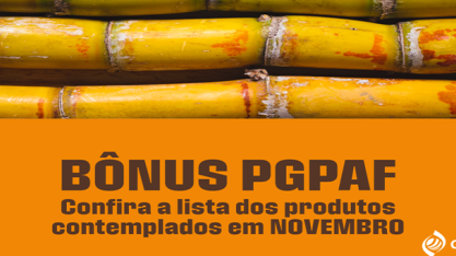 Produtores de cana em Pernambuco e Rio Grande do Norte passam a contar com bônus do PGPAF