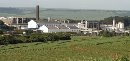 São Martinho tem lucro líquido de R$ 176,41 milhões no 2tri25/26, queda de 5,9% ante 2tri24/25