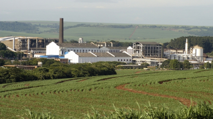 São Martinho tem lucro líquido de R$ 176,41 milhões no 2tri25/26, queda de 5,9% ante 2tri24/25