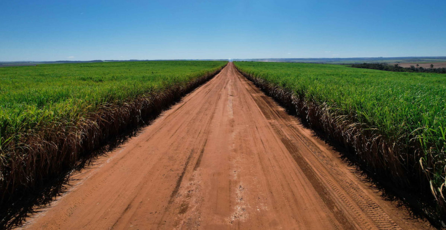 Foto: Gil Leonardi/Imprensa MG