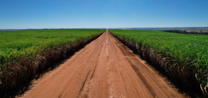 Clima impacta e safra de cana-de-açúcar recua em Minas Gerais