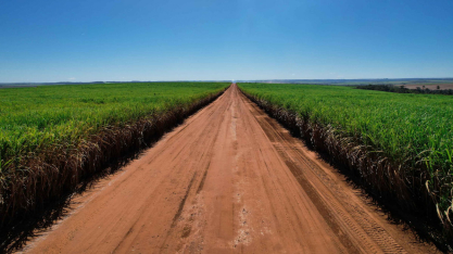 Clima impacta e safra de cana-de-açúcar recua em Minas Gerais