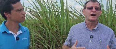 Para sucesso da irrigação por gotejo, Netafim mantém estrutura de atendimento na Japungu o ano todo