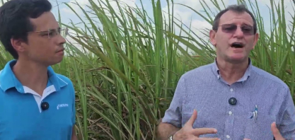 Para sucesso da irrigação por gotejo, Netafim mantém estrutura de atendimento na Japungu o ano todo