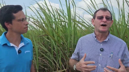 Para sucesso da irrigação por gotejo, Netafim mantém estrutura de atendimento na Japungu o ano todo