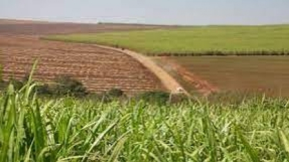 FPA celebra decisão do STF sobre constitucionalidade do RenovaBio