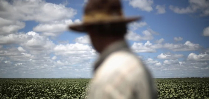 Inadimplência do produtor rural do Brasil sobe para 8,1% no 2º trimestre