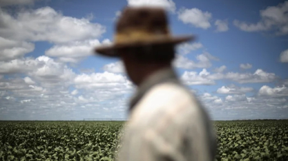 Inadimplência do produtor rural do Brasil sobe para 8,1% no 2º trimestre