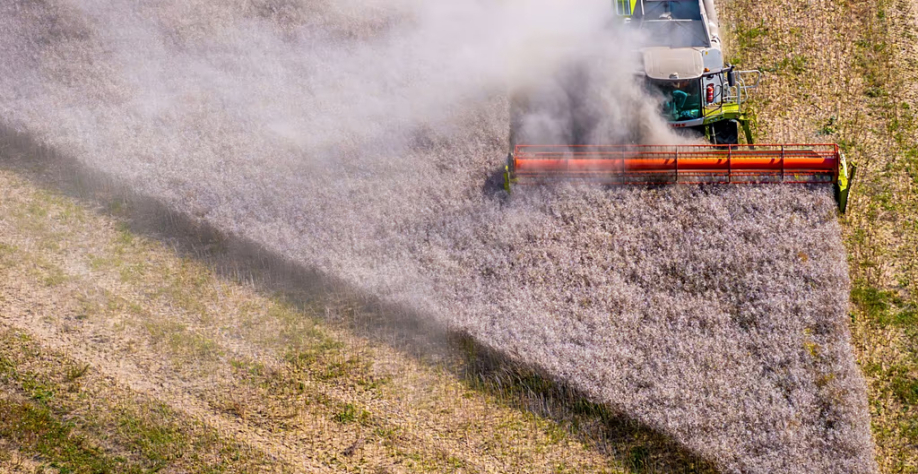Direitos de autor AP Photo