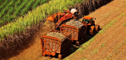Cana: moagem no Centro-Sul deve crescer 3,6% em 2026/27, para 620,5 milhões de t