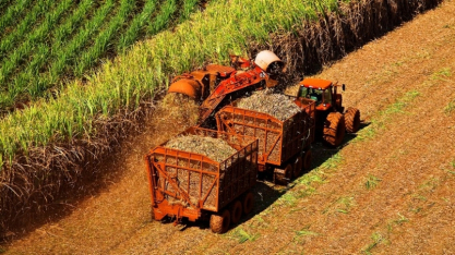 Cana: moagem no Centro-Sul deve crescer 3,6% em 2026/27, para 620,5 milhões de t