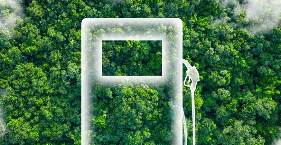 Itaú BBA estima que serão gerados, no próximo ano, 44,7 milhões de créditos de descarbonização (CBios) — Foto: Getty Images