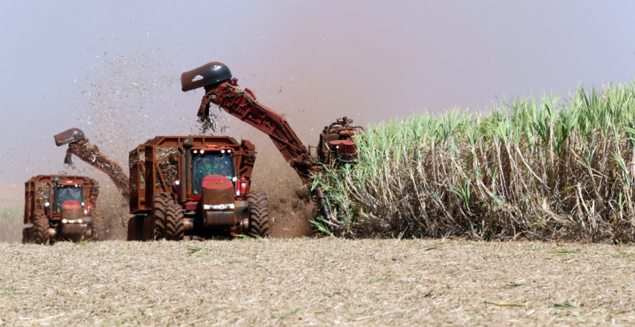 Colheitadeiras corta cana-de-açúcar em Pradópolis 13/09/2018 REUTERS/Paulo Whitaker