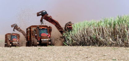 Conab reduz em 0,35% estimativa de safra de cana do Brasil