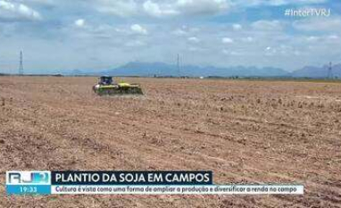 Soja ganha espaço em Campos após fim da safra de cana-de-açúcar
