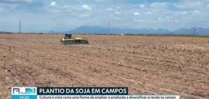 Soja ganha espaço em Campos após fim da safra de cana-de-açúcar