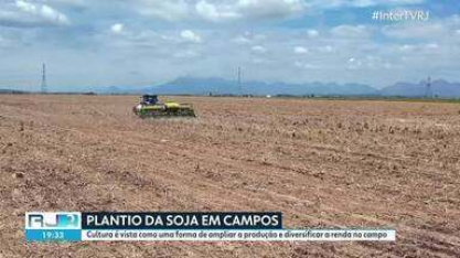 Soja ganha espaço em Campos após fim da safra de cana-de-açúcar
